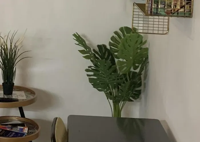 Apartament Jolie Cosy *